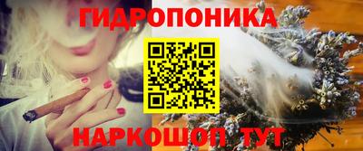 крисы Краснознаменск