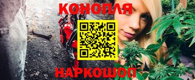 крисы Краснокаменск