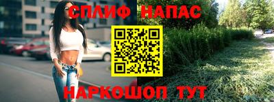 крисы Краснознаменск