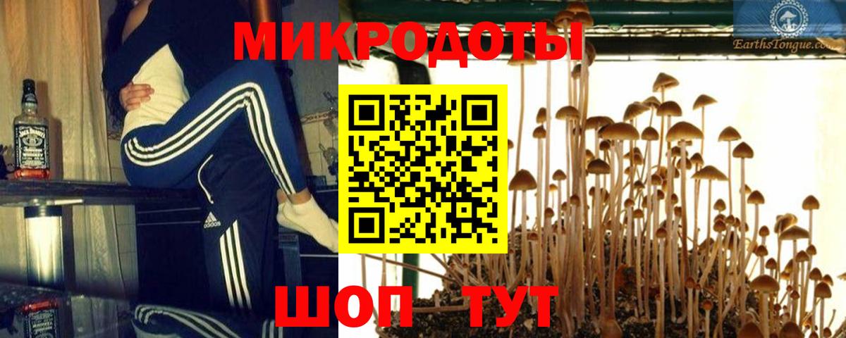 Галлюциногенные грибы мухоморы Шелехов